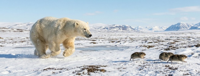 Gemini Generated Image gl7u0dgl7u0dgl7u