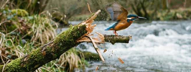 Image ez5g4wez5g4wez5g