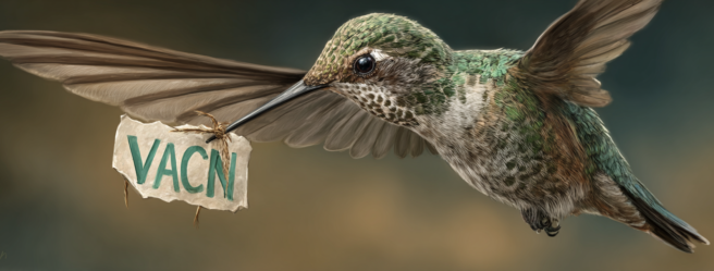 Enthusias A hummingbird with a note bearing the letters VACN 7d10d666 a3e4 41ad 90db 37a78c71a13c 2