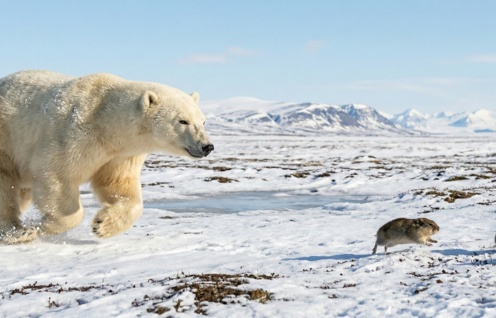 Gemini Generated Image gl7u0dgl7u0dgl7u