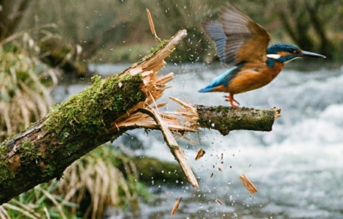 Image ez5g4wez5g4wez5g