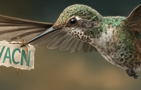 Enthusias A hummingbird with a note bearing the letters VACN 7d10d666 a3e4 41ad 90db 37a78c71a13c 2