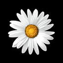 Implenia